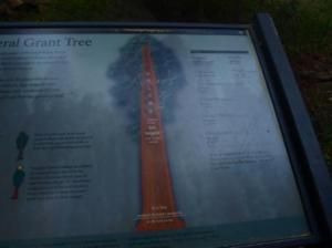 General Grant Tree: Datos