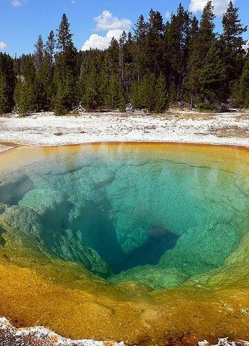 Geyser de Yellowstone National Park