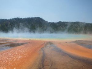 VIAJE A YELLOWSTONE