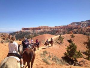 ride horse bryce canyon