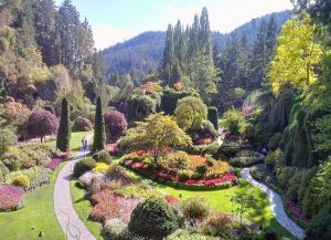 viaje a jardines de Butchart 