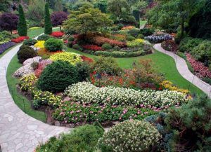 viaje a jardines de Butchart en victoria