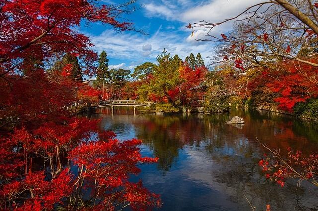 Japón dentro de los Viajes Privados Asia