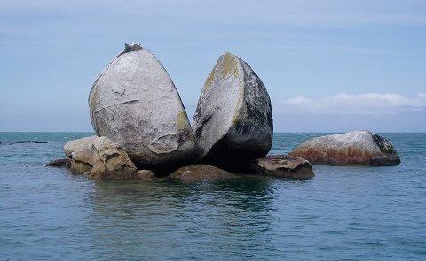 Split Apple New Zealand Abel Tasman National Park