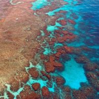 Great Barrier Reef AUS