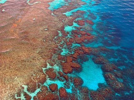 Gran Barrera de Coral dentro de un viaje privado por Oceanía