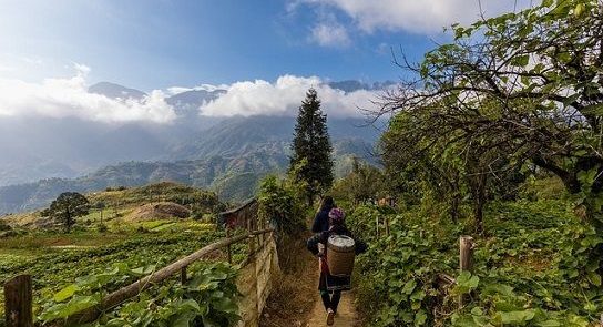 CIRCUITO NORTE DE VIETNAM: HOA LU TAM COC