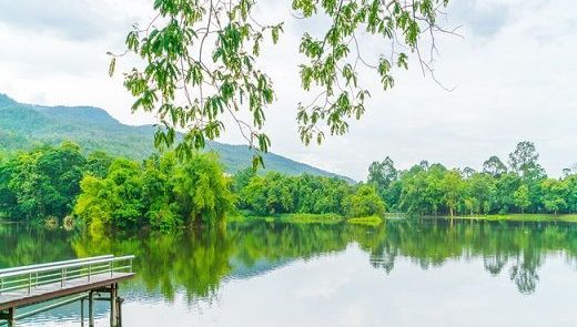 CHIANG MAI