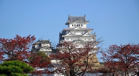 CIRCUITO JAPÓN CAMINO DE KUMANO