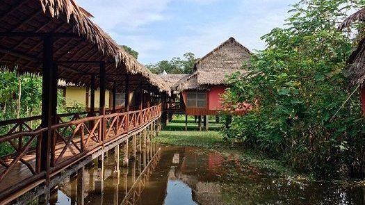 Heliconia-Lodge