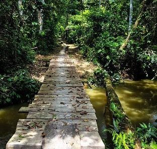 Iquitos Puente