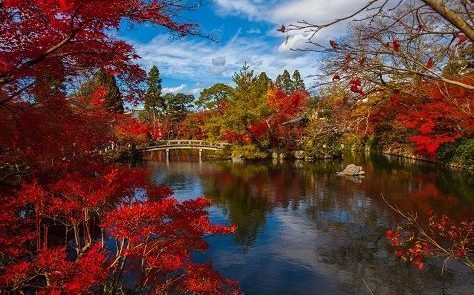 Viaje a tu aire Japón 11 días