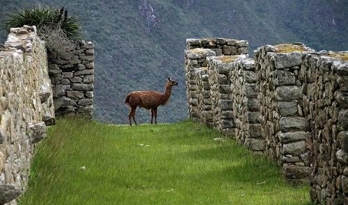 Machu-Picchu a