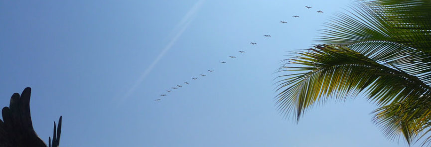 PUERTO-VALLARTA.3