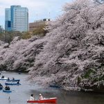 VIAJE TU AIRE A JAPÓN 9 NOCHES