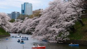 VIAJE TU AIRE A JAPÓN 9 NOCHES