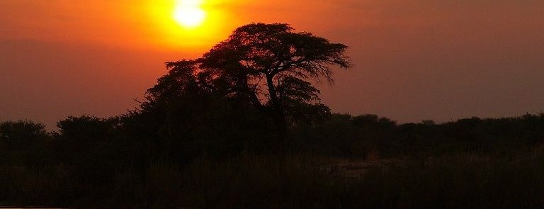 VIAJE NAMIBIA A MEDIDA