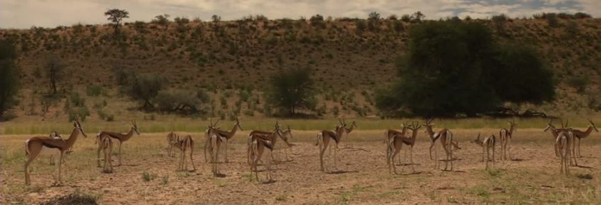 NAMIBIA FLY AND DRIVE