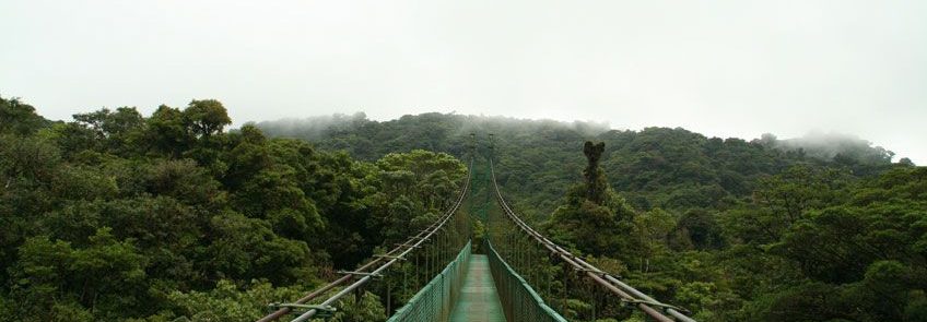 Canopy_bridge_in_costa_rica