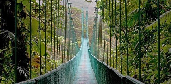 Copia de Parque_Nacional_Manuel_Antonio_1_opt