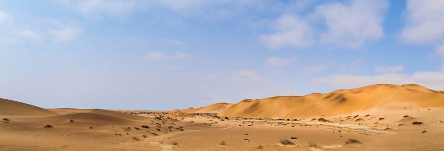 VIAJE NAMIBIA A MEDIDA