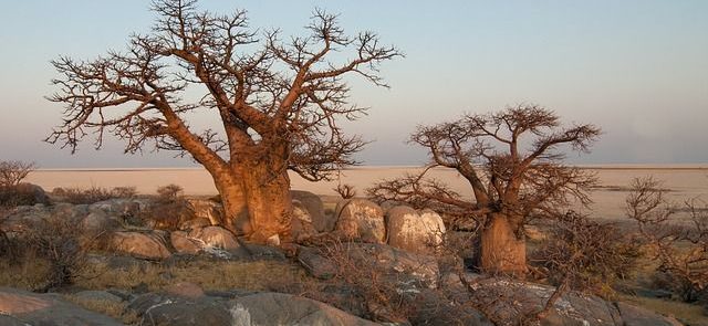 BOTSWANA Y CATARATAS VICTORIA