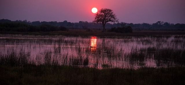 BOTSWANA Y CATARATAS VICTORIA