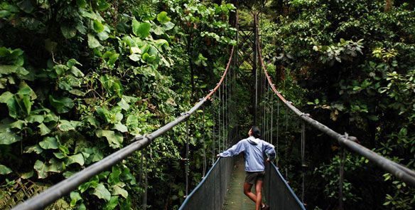 sky-walk-suspension-bridges-A-1-