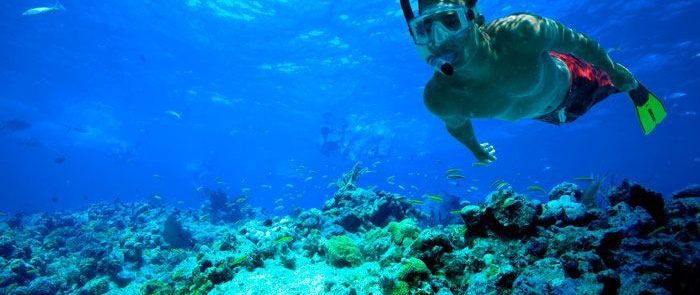 snorkel-COSTA-RICA