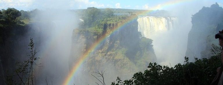 Bosque Cataratas