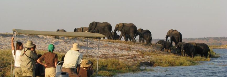 VIAJE BOTSWANA 5 DÍAS