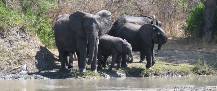 VIAJE BOTSWANA 10 DÍAS