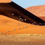 Viaje a Namibia 7 días