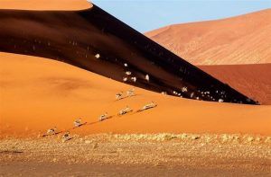 Viaje a Namibia 7 días