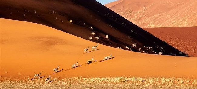 Viaje a Namibia 7 días