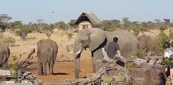 BOTSWANA Y ZIMBAWE 16 DÍAS