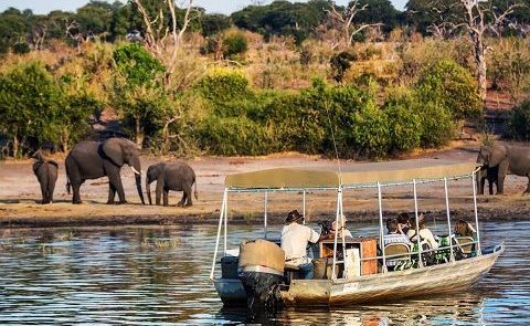 EXCURSION CHOBE