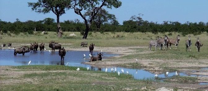 BOTSWANA Y ZIMBAWE 16 DÍAS