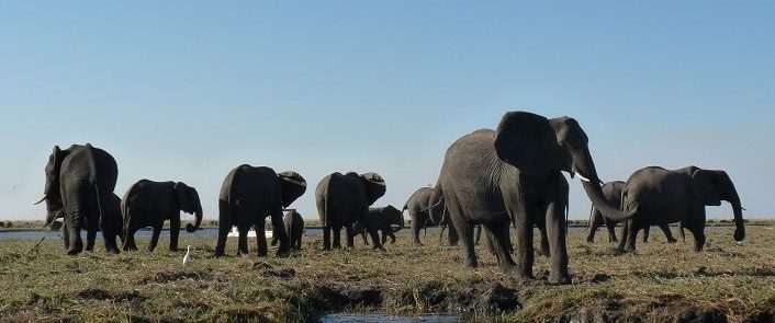 VIAJE BOTSWANA Y ZIMBAWE