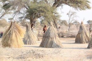 VIAJE NAMIBIA VICTORIA FALLS