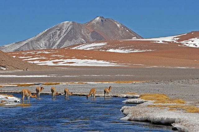 Viajes Privados Chile entre Atacama y Patagonia
