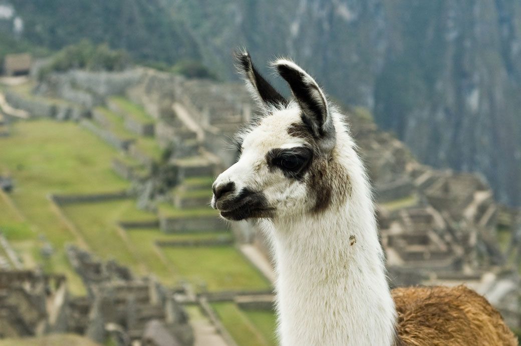 Viajes Privados Perú y Machu Picchu