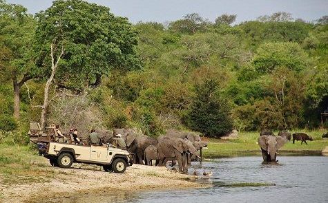 Parque Nacional Kruger 2