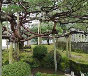 JARDINES DE KANAZAWA