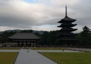 visita a Nara