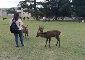 visita a Nara