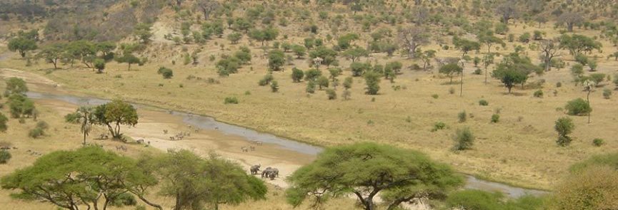 Parque-Nacional-de-Tarangire-2