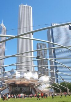 Visita a Chicago