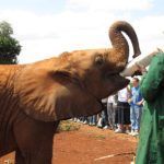 VIAJE KENIA AL COMPLETO EN 14 DIAS