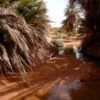 aprende ingles en un viaje a Marruecos